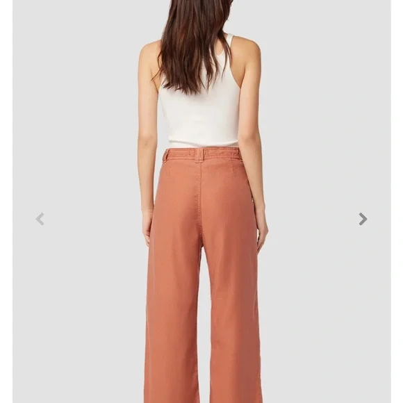 Hudson Size 34 Drawstring Bronze Pants NWT - Picture 5 of 9